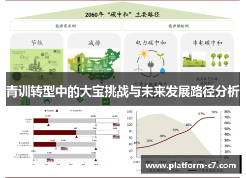 青训转型中的大宝挑战与未来发展路径分析