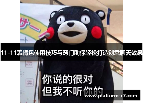 11-11表情包使用技巧与窍门助你轻松打造创意聊天效果