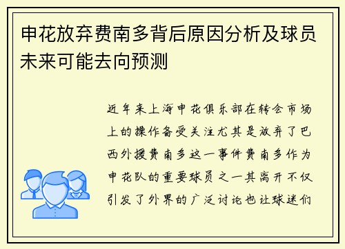 申花放弃费南多背后原因分析及球员未来可能去向预测