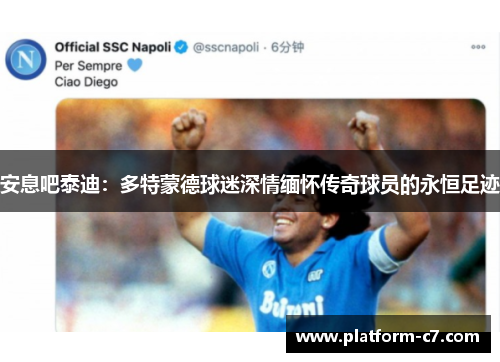 安息吧泰迪：多特蒙德球迷深情缅怀传奇球员的永恒足迹