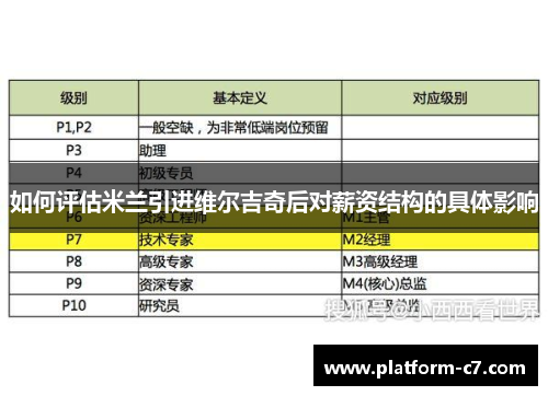 如何评估米兰引进维尔吉奇后对薪资结构的具体影响 如何评估米兰引进维尔吉奇后对薪资结构的具体影响