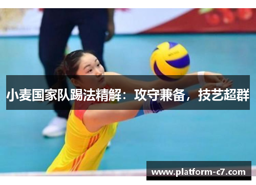 小麦国家队踢法精解：攻守兼备，技艺超群